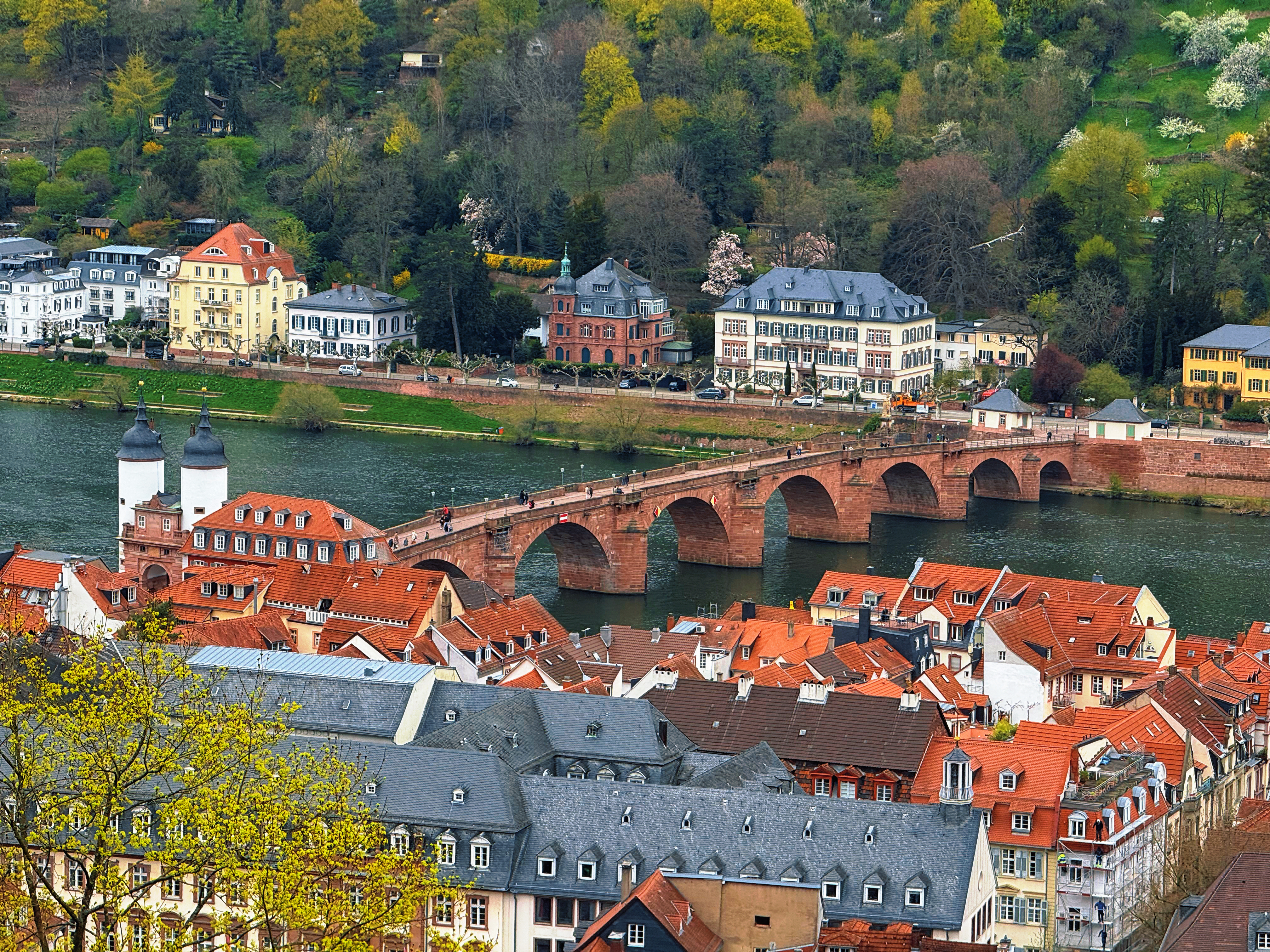 Heidelberg old bridge and riverside rooftops